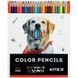 Олівці кольорові Kite Dogs K22-055-1, 24 кольори K22-055-1 фото 3