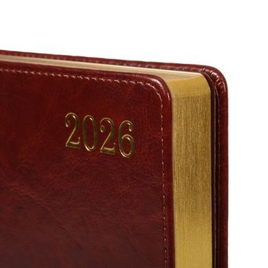 Дневник-деловая записная книжка А5 Leo Planner датированный 2026 "City", твердая, коричневая, 368 страниц (252668) 252668 фото