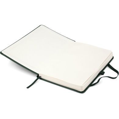 Книга записна Axent Partner Lux 8202-04-A, A5-, 125x195 мм, 96 аркушів, клітинка, тверда обкладинка, зелена 8202-04-A фото
