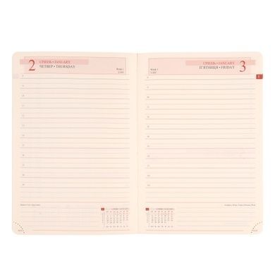 Ежедневник А6 Leo Planner датированный 2025 City красный 352 стр 252556 фото