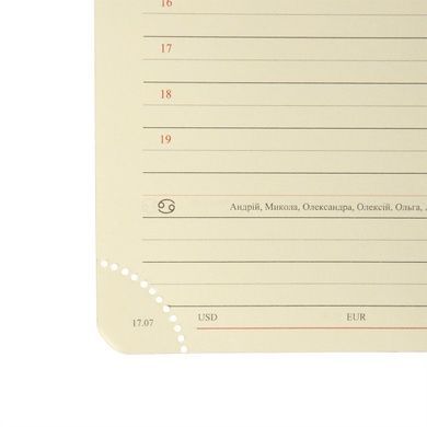Дневник-деловая записная книжка А5 Leo Planner датированный 2026 "City", твердая, черная, 368 страниц (252661) 252661 фото