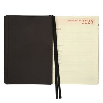 Дневник-деловая записная книжка А5 Leo Planner датированный 2026 "City", твердая, черная, 368 страниц (252661) 252661 фото