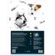 Бумага цветная неоновая Kite Dogs K22-252, A4 K22-252 фото 2