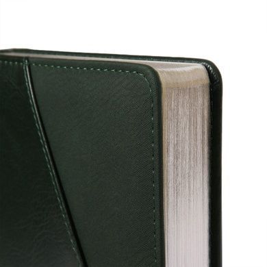 Дневник-деловая записная книжка А5 Leo Planner датированный 2026 "Whisky", твердая, зеленая, 368 страниц (252669) 252669 фото