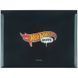 Папка на кнопці Kite Hot Wheels HW25-245, A5 HW25-245 фото 2
