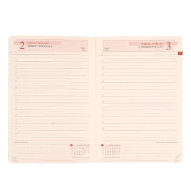 Ежедневник А5 Leo Planner датированный 2025 Liberty синий 368 стр 252444 фото