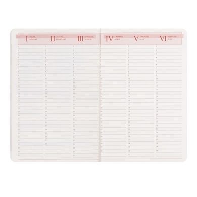 Ежедневник Leo Planner Vector А5 датированный 2027 твердый коричневый 368 страниц 252759 фото