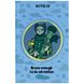 Книга записная Kite Хоробрий кіт K22-199-6, твердая обложка, А6, 80 листов, клетка K22-199-6 фото 1