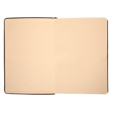 Дневник-деловая записная книжка А5 Leo Planner датированный 2026 "Aldento", интегральная, темно-коричневая, 368 страниц (252673) 252673 фото