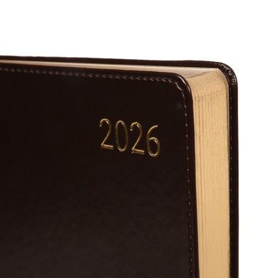 Дневник-деловая записная книжка А5 Leo Planner датированный 2026 "Aldento", интегральная, темно-коричневая, 368 страниц (252673) 252673 фото