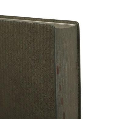Щоденник-діловий записник А5 Leo Planner датований 2026 "Velvet", м'який, темно-зелений, 368 сторінок (252637) 252637 фото