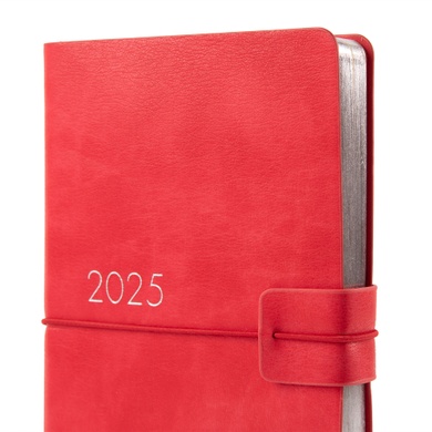 Ежедневник 12х20cм Leo Planner датированный 2025 Glory красный 352 стр 252510 фото