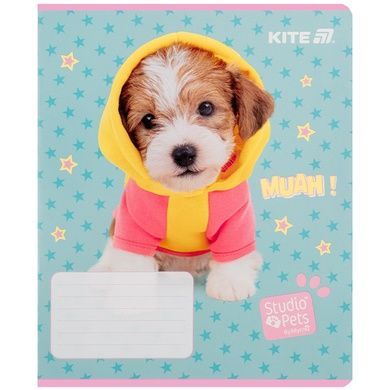 Зошит шкільний Kite Studio Pets SP25-234, 12 аркушів, лінія SP25-234 фото