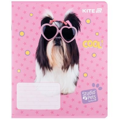 Зошит шкільний Kite Studio Pets SP25-234, 12 аркушів, лінія SP25-234 фото