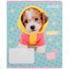 Зошит шкільний Kite Studio Pets SP25-234, 12 аркушів, лінія SP25-234 фото 9