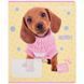 Зошит шкільний Kite Studio Pets SP25-234, 12 аркушів, лінія SP25-234 фото 3