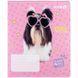 Зошит шкільний Kite Studio Pets SP25-234, 12 аркушів, лінія SP25-234 фото 12
