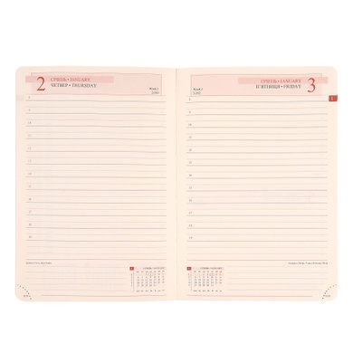 Ежедневник 12х20cм Leo Planner датированный 2025 Identico синий 352 стр 252512 фото