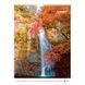 Календар настінний А3 2026 р., Waterfalls 8804-26-2-a фото 10