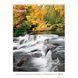 Календар настінний А3 2026 р., Waterfalls 8804-26-2-a фото 12