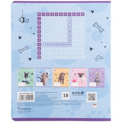 Зошит шкільний Kite Rachael Hale R25-236, 18 аркушів, клітинка R25-236 фото