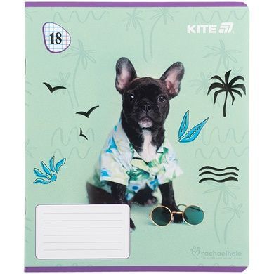 Зошит шкільний Kite Rachael Hale R25-236, 18 аркушів, клітинка R25-236 фото