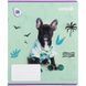 Зошит шкільний Kite Rachael Hale R25-236, 18 аркушів, клітинка R25-236 фото 3