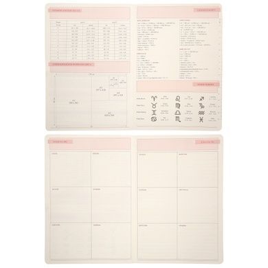 Дневник А6 Leo Planner недатированный "Tenero", мягкий, 320 страниц (252711) 252711 фото