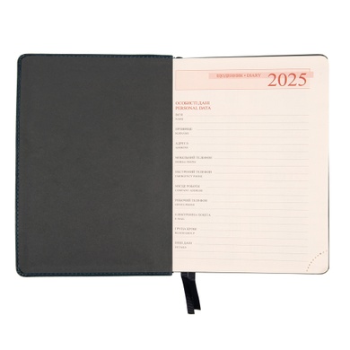 Ежедневник А5 Leo Planner датированный 2025 Case темный изумруд 368 стр 252520 фото