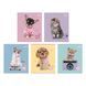 Зошит шкільний Kite Studio Pets SP25-238, 24 аркуші, клітинка