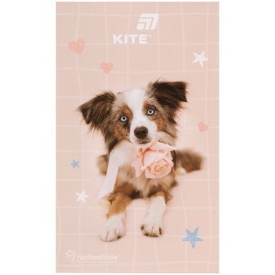 Блокнот-планшет Kite Rachael Hale R26-195, A6, 50 листов, нелинованный R26-195 фото