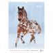 Календар настінний А3 2026 р., Horses 8804-26-3-a фото 3