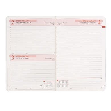 Ежедневник Leo Planner Status A5 датированный 2027 твердый коричневый 368 страниц 252723 фото