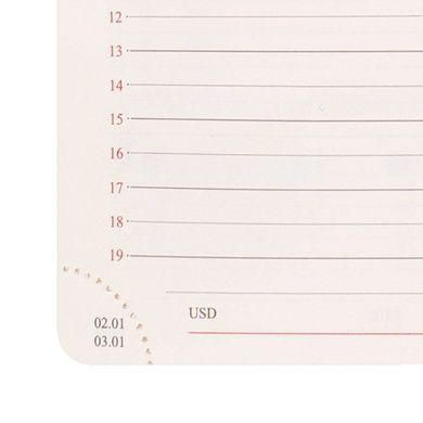Ежедневник Leo Planner Clarity А5 датированный 2027 мягкий серый 368 страниц 252780 фото