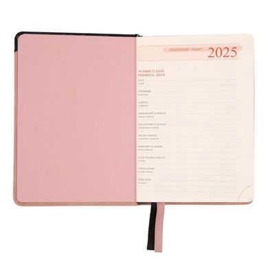 Ежедневник А6 Leo Planner датированный 2025 Angolo 352 стр 252594 фото