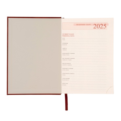 Ежедневник А5 Leo Planner датированный 2025 Persona бордовый 368 стр 252528 фото