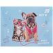 Тетрадь для нот Kite Studio Pets, А5, 20 листов SP26-405 фото 1