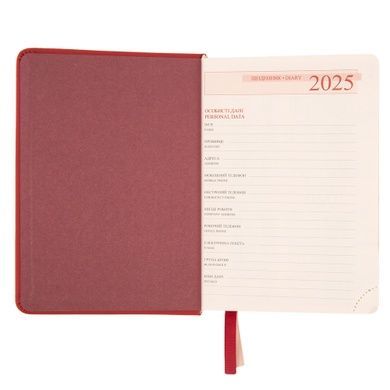 Ежедневник А6 Leo Planner датированный 2025 Circolo 352 стр 252597 фото