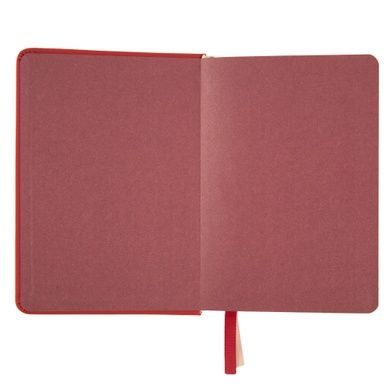 Ежедневник А6 Leo Planner датированный 2025 Circolo 352 стр 252597 фото