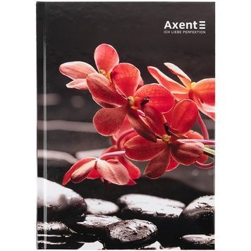 Книга записна тверда обкл. А5, 96 арк., кліт., R&B Flower 8457-7-A фото