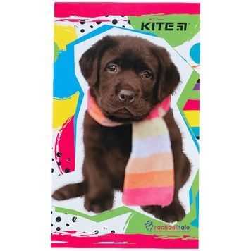 Блокнот-планшет Kite Rachael Hale R21-195, A6, 50 аркушів, нелінований R21-195 фото