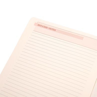 Щоденник А5 Leo Planner датований 2025 Identico синій 368 стор 252532 фото