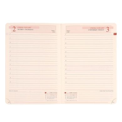 Щоденник А5 Leo Planner датований 2025 Identico синій 368 стор 252532 фото