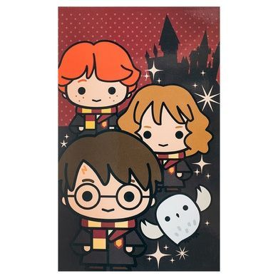Блокнот-планшет Kite Harry Potter HP25-195, A6, 50 аркушів, нелінований HP25-195 фото