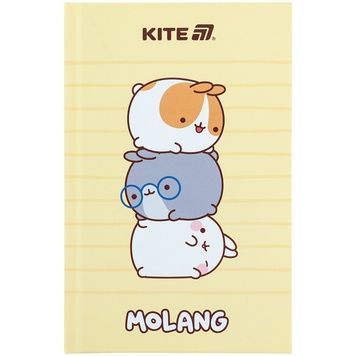 Книга записна Kite Molang ML25-199, тверда обкладинка, А6, 80 аркушів, клітинка ML25-199 фото