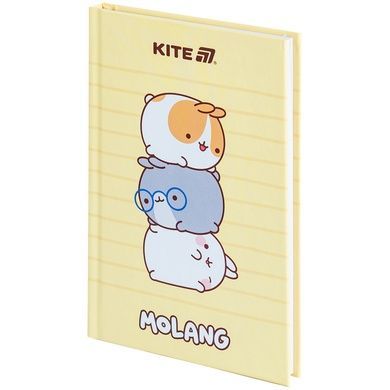 Книга записна Kite Molang ML25-199, тверда обкладинка, А6, 80 аркушів, клітинка ML25-199 фото
