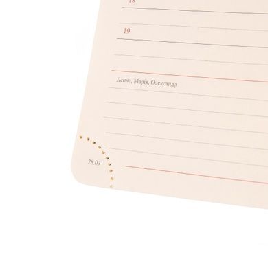 Ежедневник А6 Leo Planner датированный 2025 Vento 352 стр 252601 фото