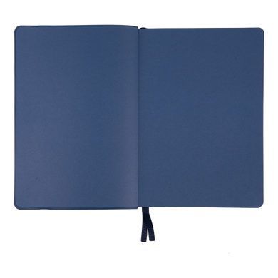 Ежедневник А5 Leo Planner датированный 2025 Dignity синий 368 стр 252533 фото