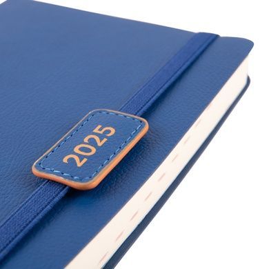 Ежедневник А5 Leo Planner датированный 2025 Dignity синий 368 стр 252533 фото