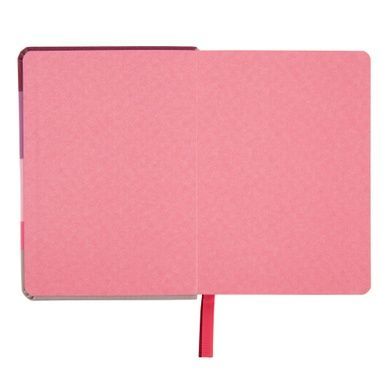 Ежедневник А6 Leo Planner датированный 2025 Vento 352 стр 252601 фото